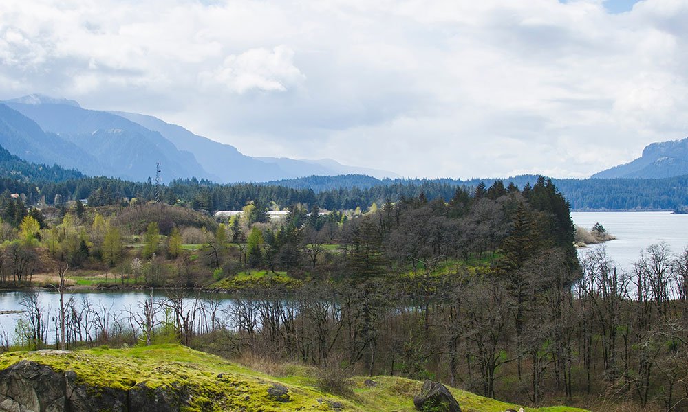 A scenic view of a river winding through a lush, green forest with mountains in the background under a partly cloudy sky, reminiscent of the tranquil landscapes near a hotel in Madras, Oregon.